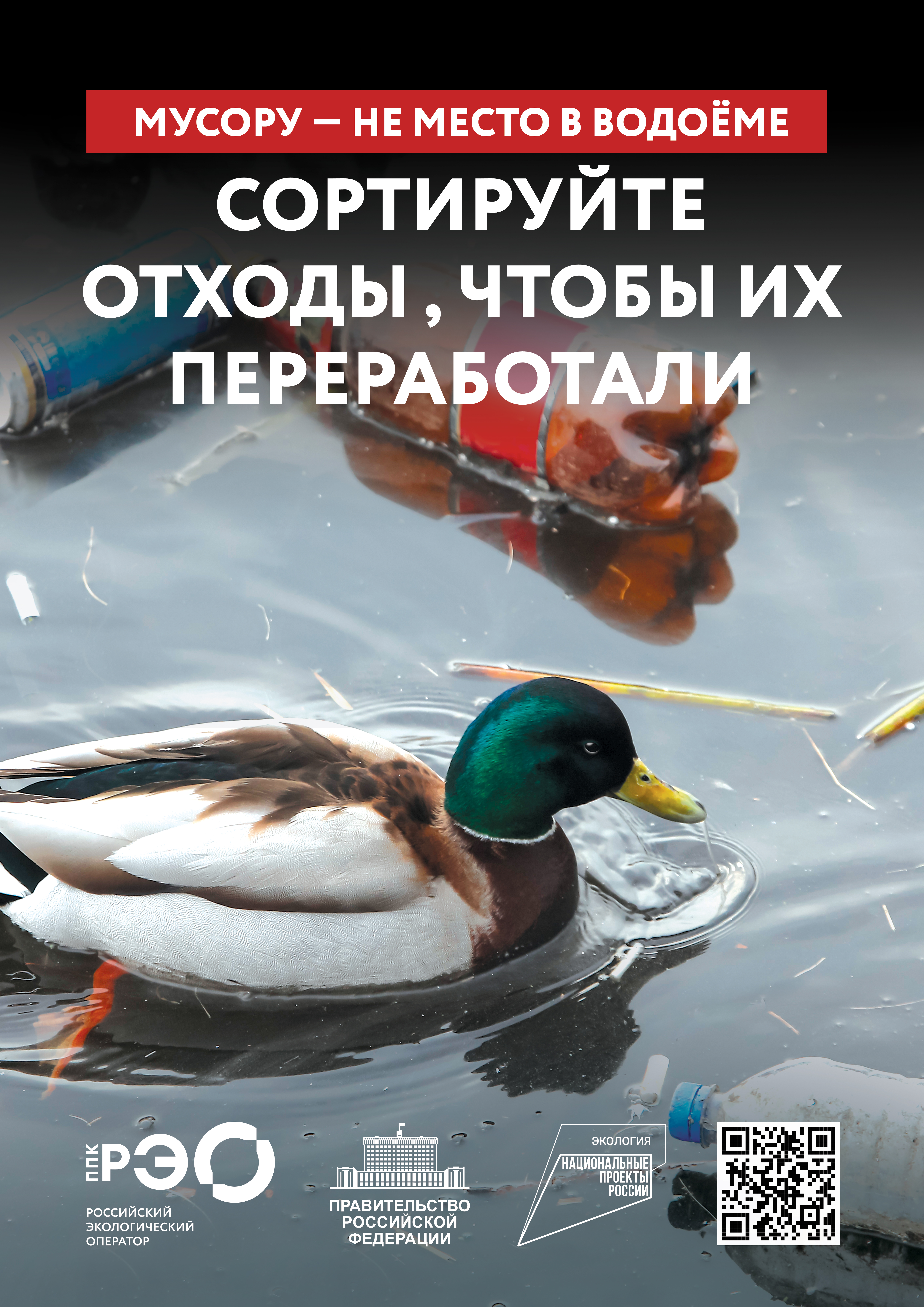 Seria 9 animal poster _A2_2.jpg